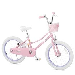 12/14/16/20 Inch Girls Bike for Ages 2-12 Toddler Bike, Pink, 20 Inch